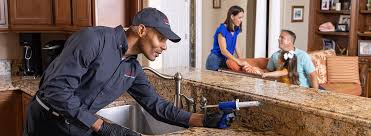 Best Residential Pest Control  in Rainbow Lakes, NJ